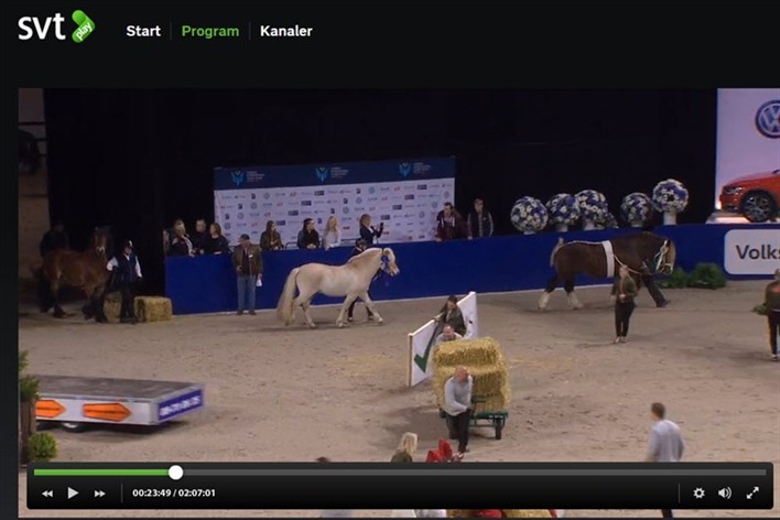 SVT play Sweden international Horse Show 2015