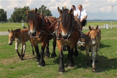 Riksutställning Elmia 2013 (Minja till vänster)